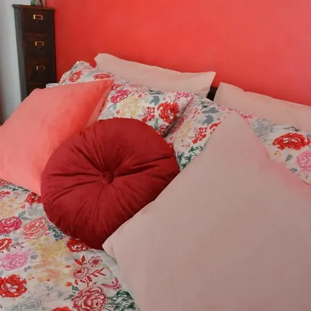 La Candida Rosa Firenze